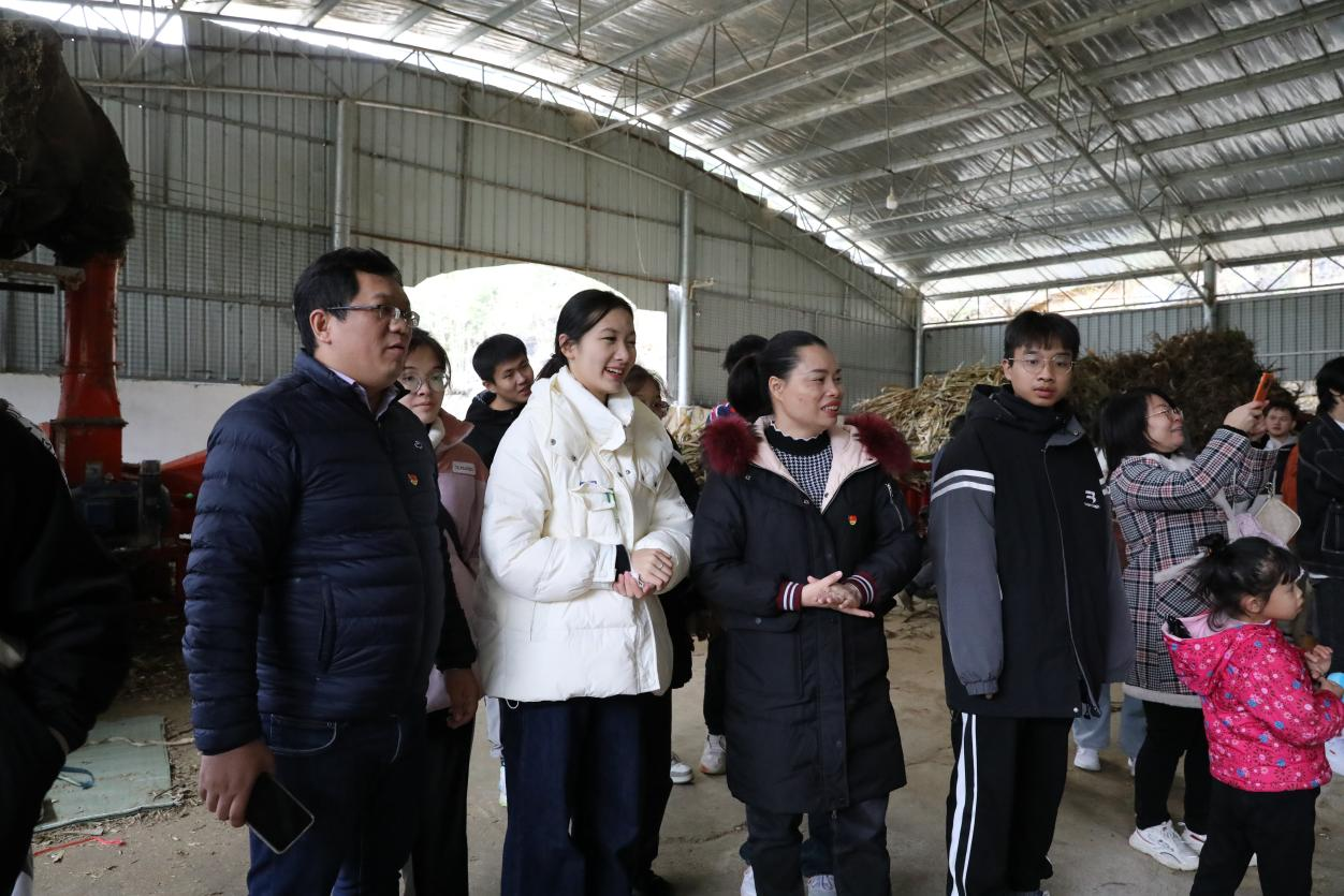 實踐團成員參觀古棠村鄉村振興產業——養牛場