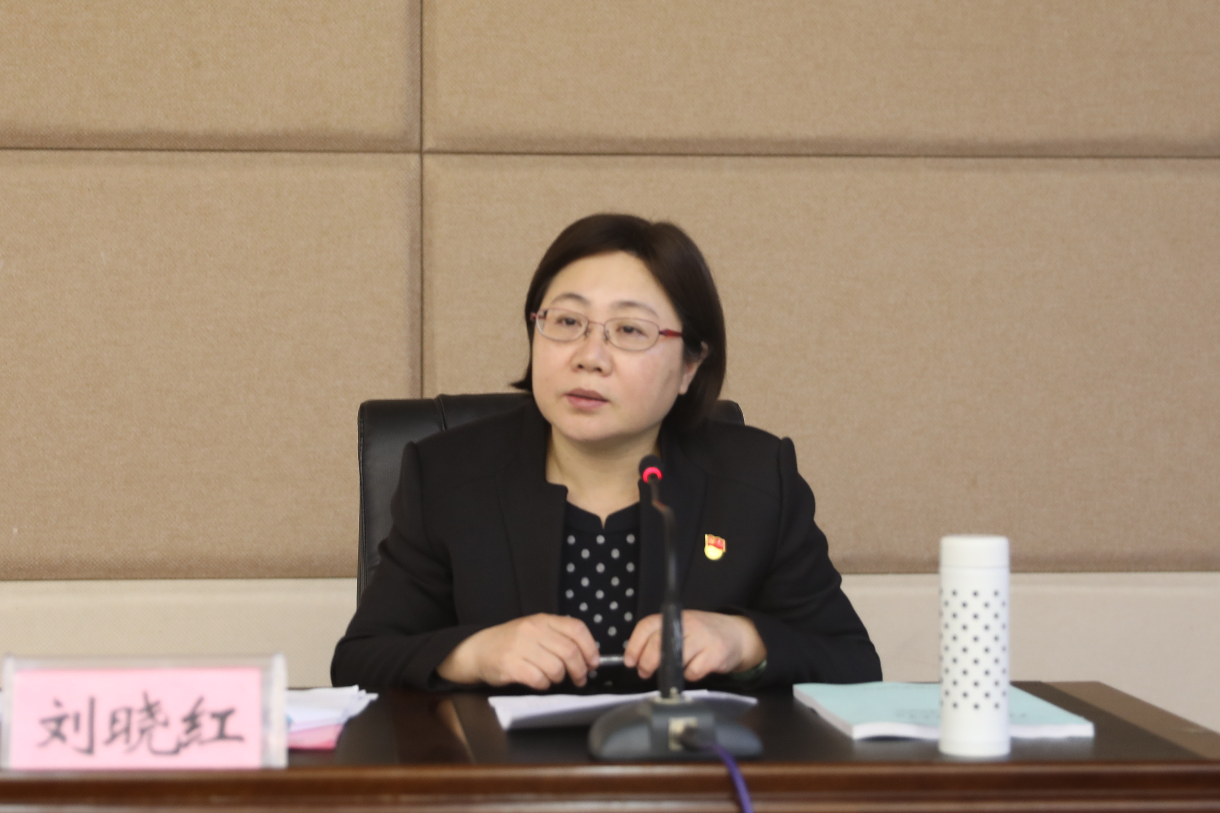 學院黨委書記劉曉紅講話