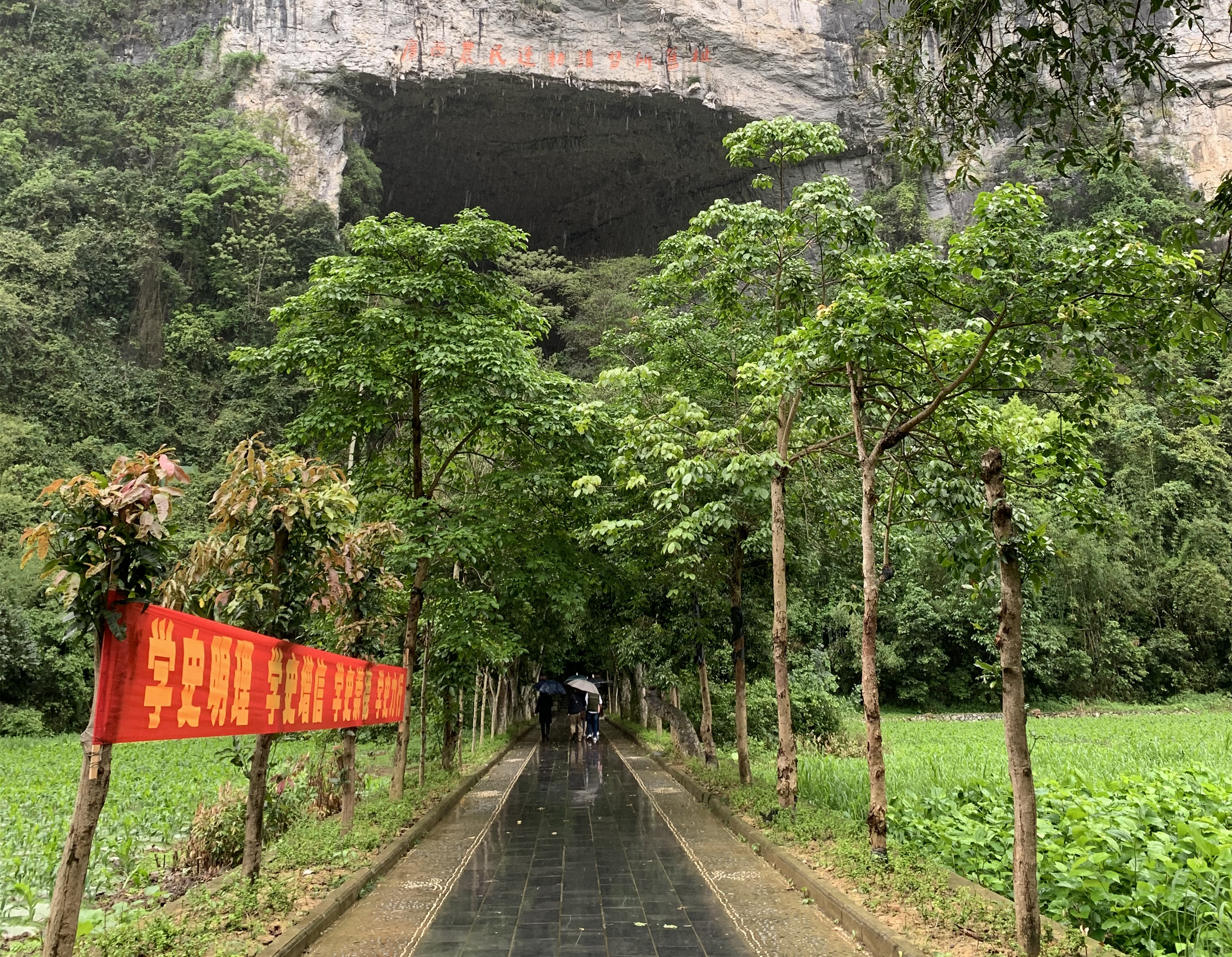 馬克思主義學院師生在廣西農民運動講習所舊址——列寧巖現場研學