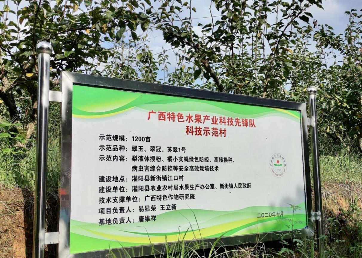 江口村千畝梨園基地介紹