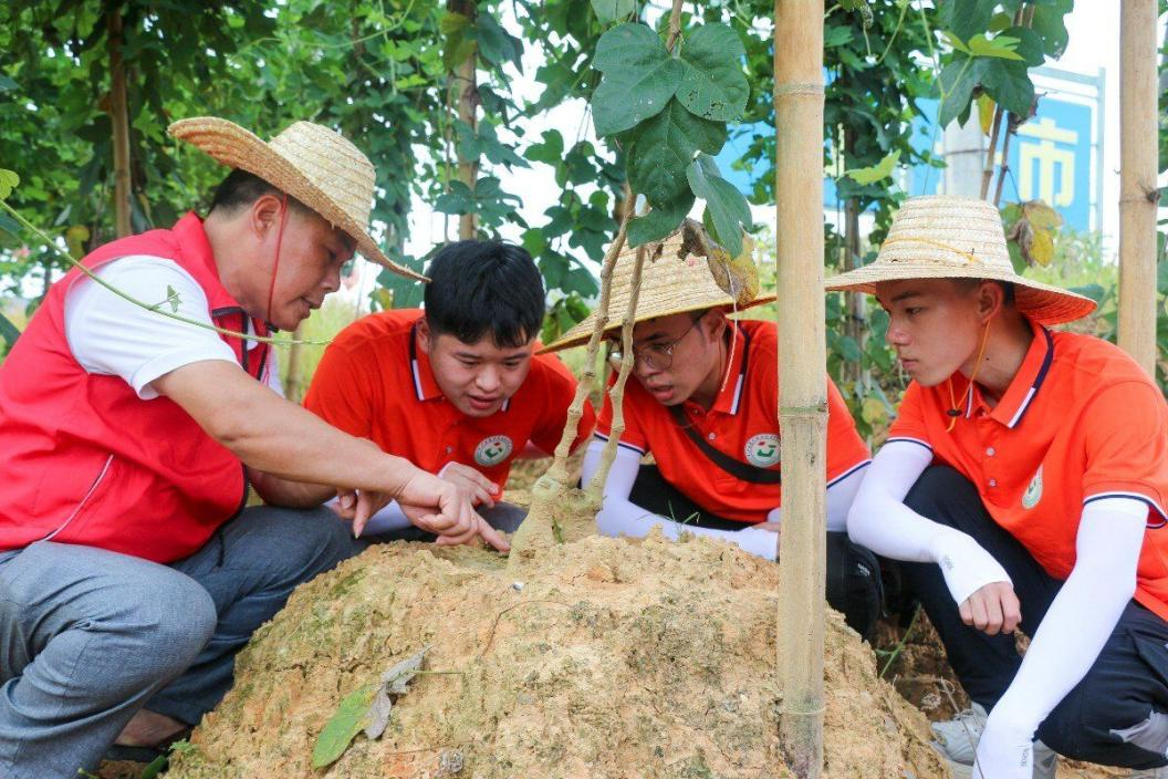 實踐團進行實地調研及現場勘察