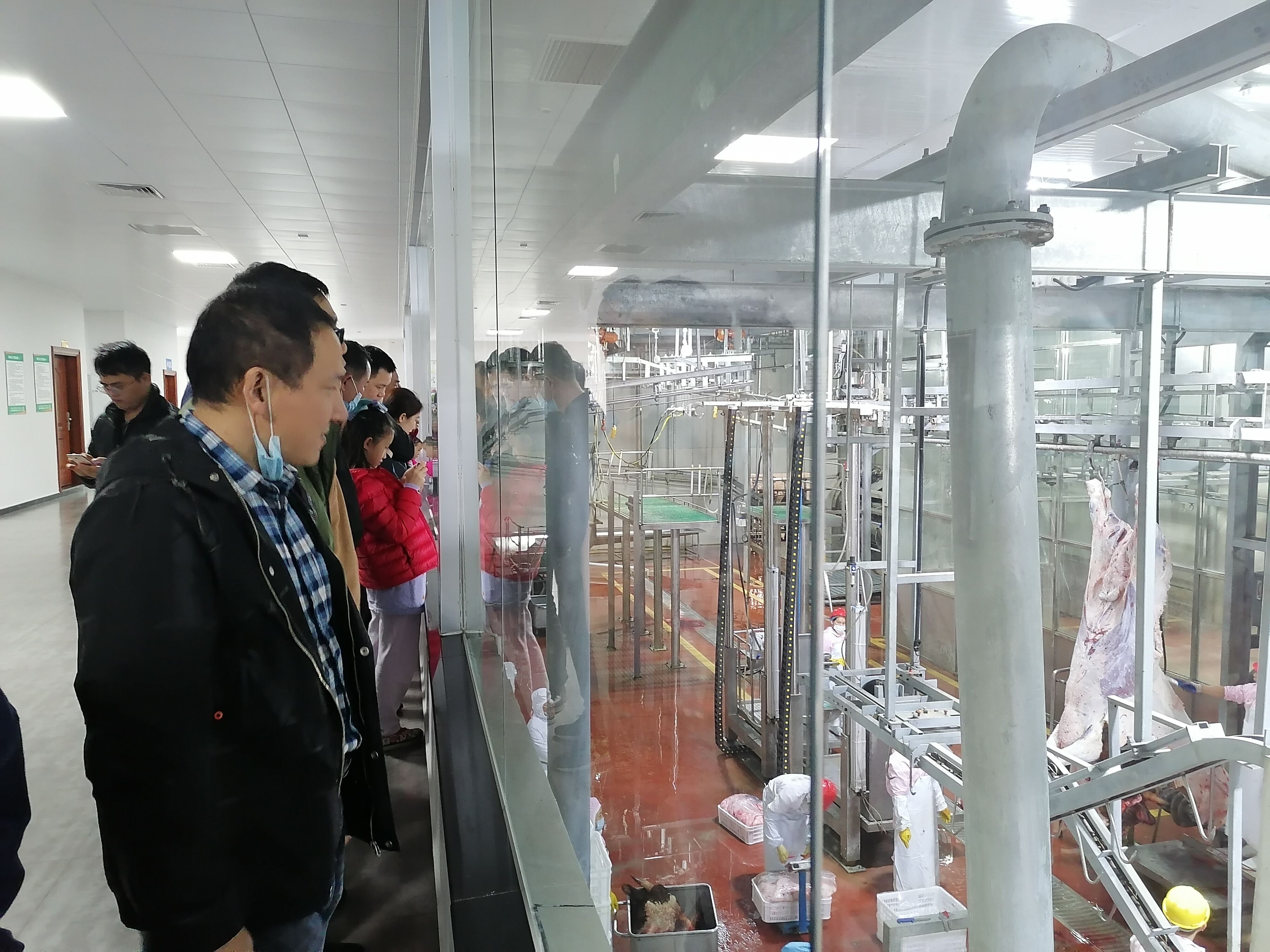 會員代表正在參觀牛肉加工廠
